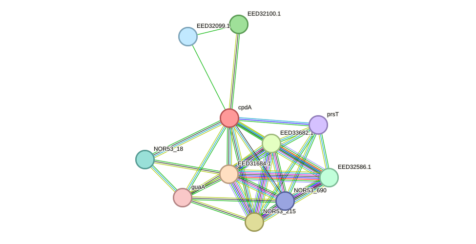 STRING protein interaction network