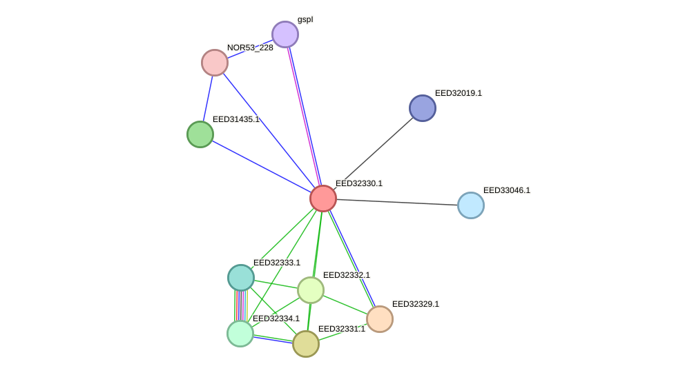 STRING protein interaction network