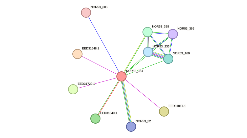 STRING protein interaction network