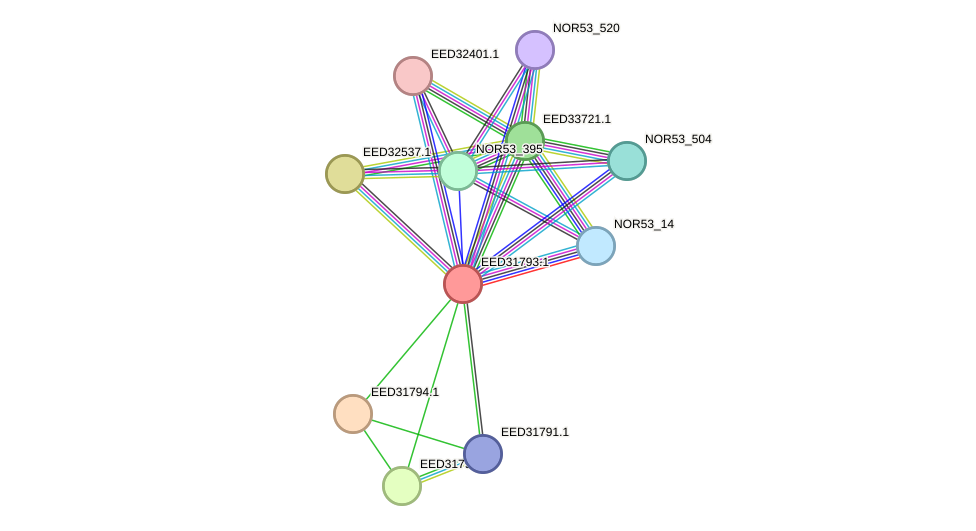 STRING protein interaction network