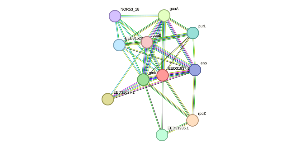 STRING protein interaction network