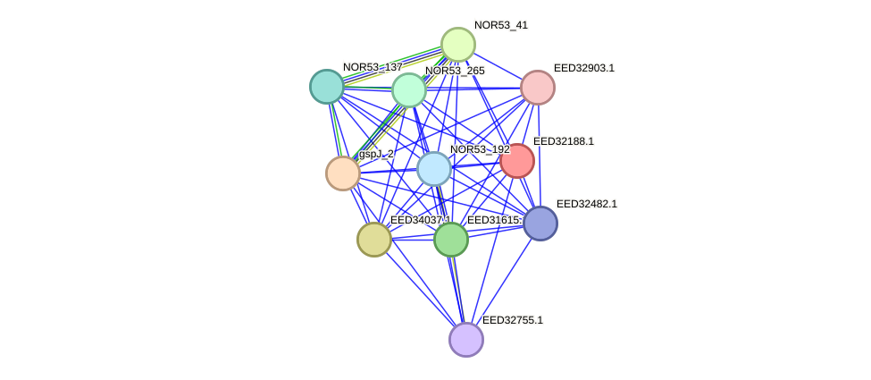 STRING protein interaction network