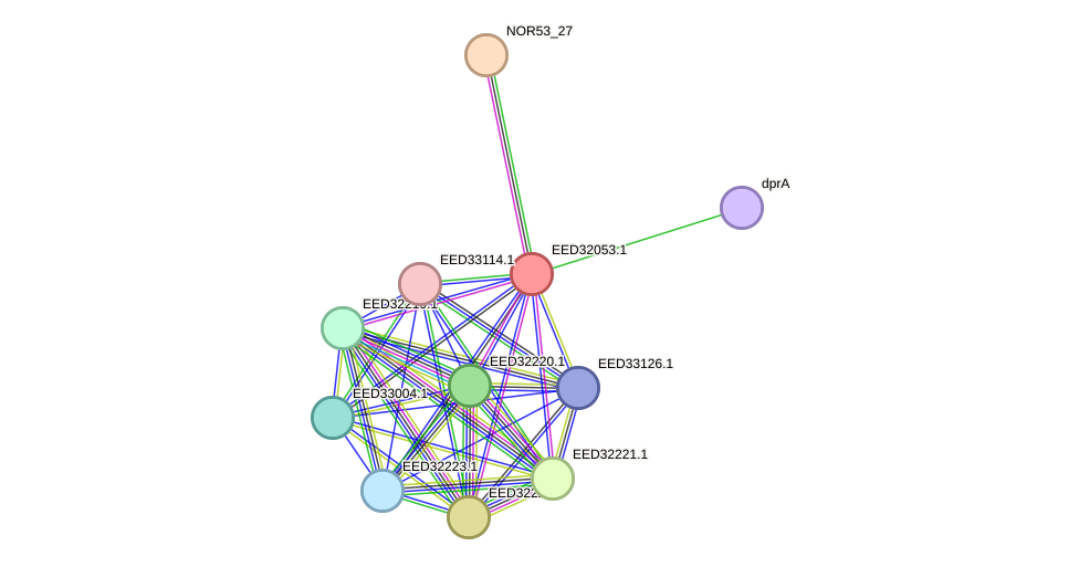 STRING protein interaction network