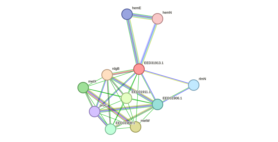 STRING protein interaction network