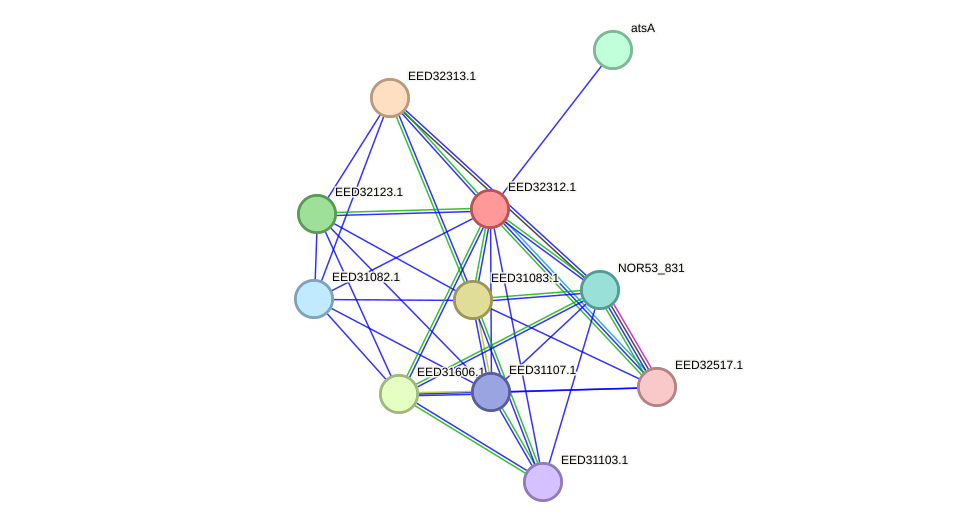 STRING protein interaction network
