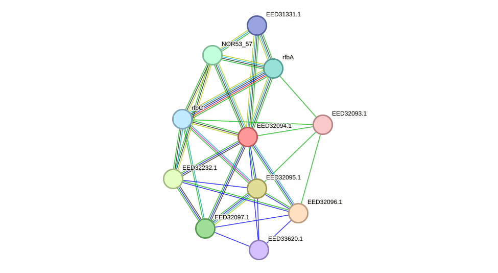 STRING protein interaction network