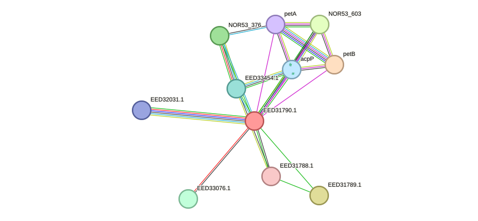 STRING protein interaction network