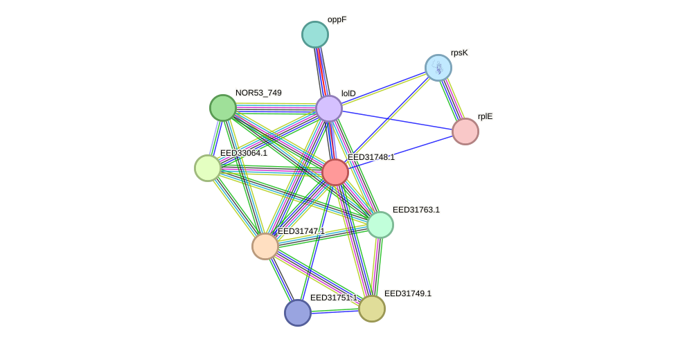STRING protein interaction network