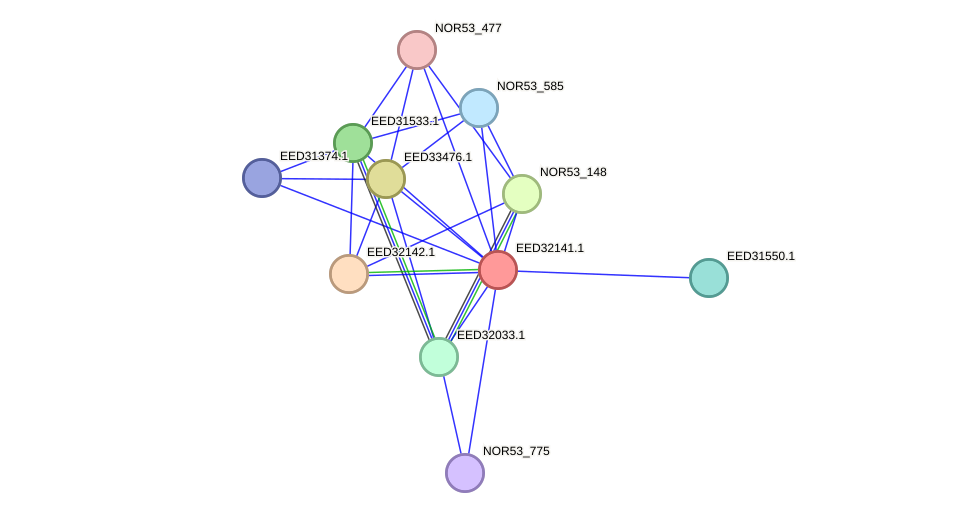 STRING protein interaction network