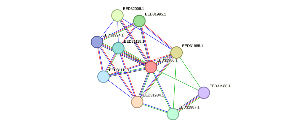 STRING protein interaction network