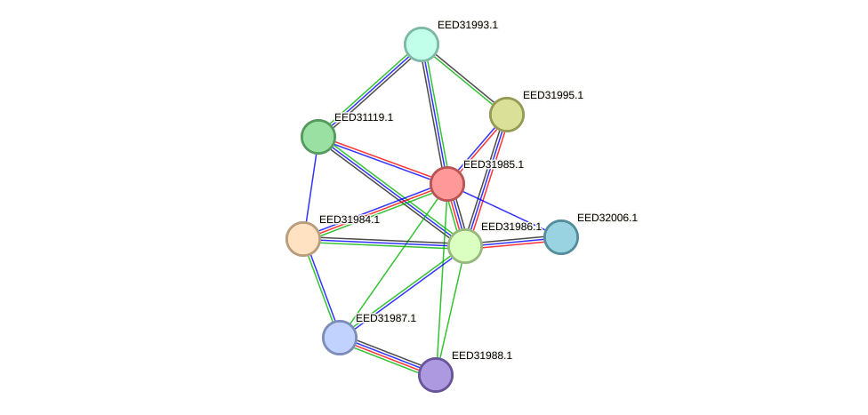 STRING protein interaction network