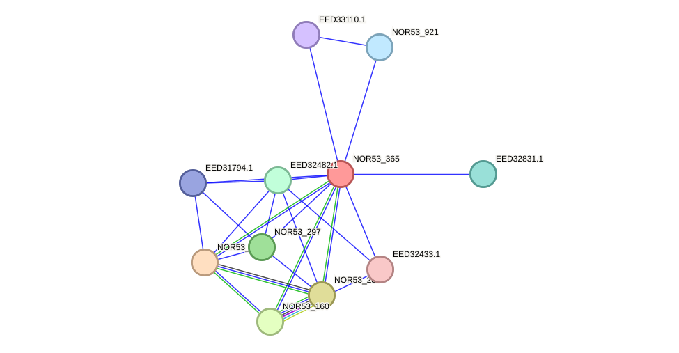 STRING protein interaction network