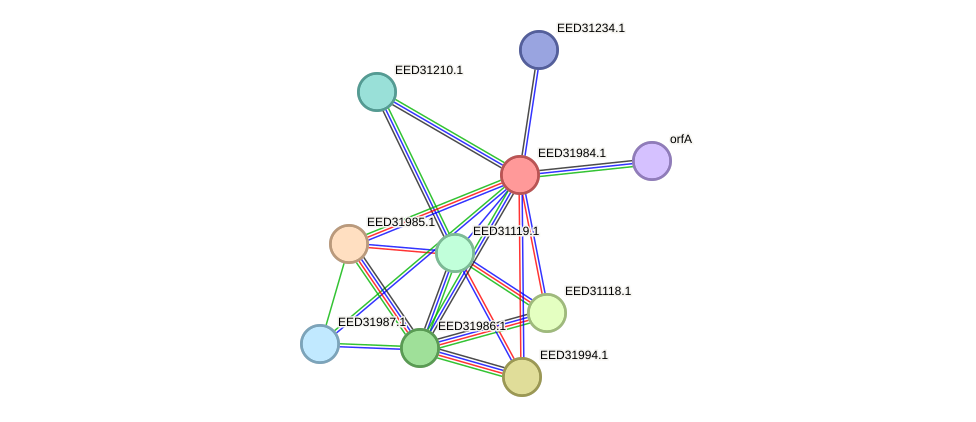 STRING protein interaction network