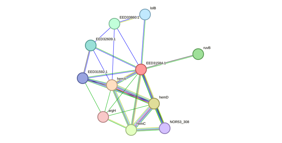 STRING protein interaction network