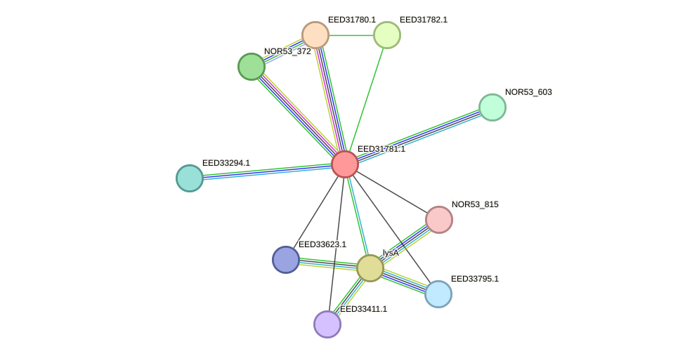 STRING protein interaction network