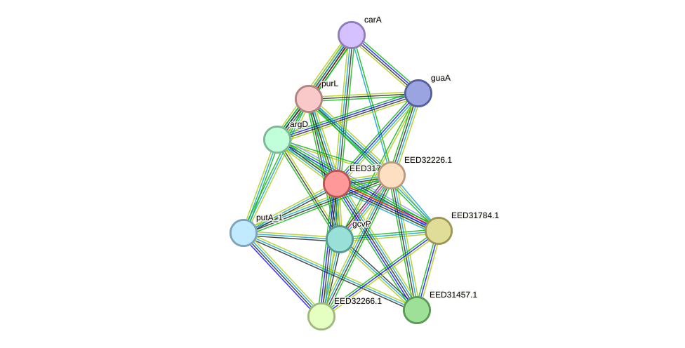 STRING protein interaction network