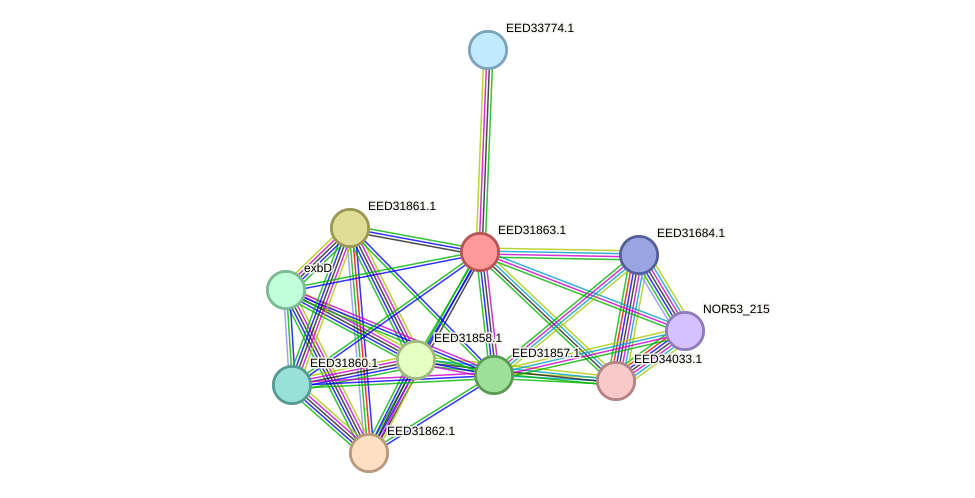 STRING protein interaction network