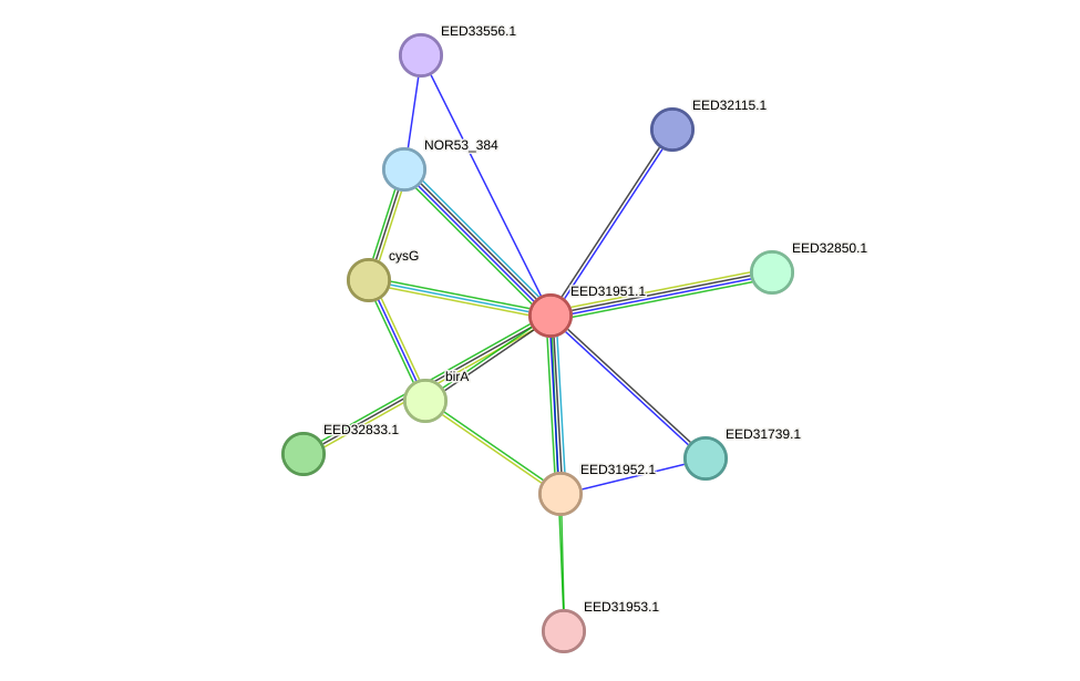 STRING protein interaction network