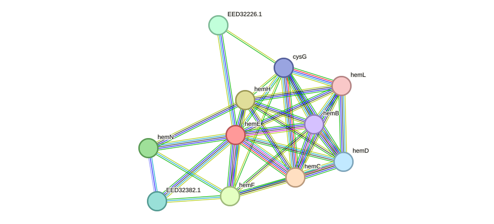 STRING protein interaction network