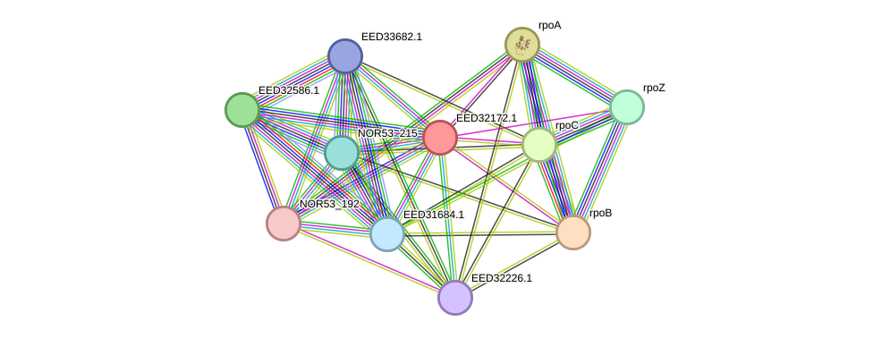 STRING protein interaction network