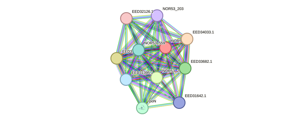 STRING protein interaction network