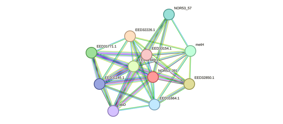 STRING protein interaction network