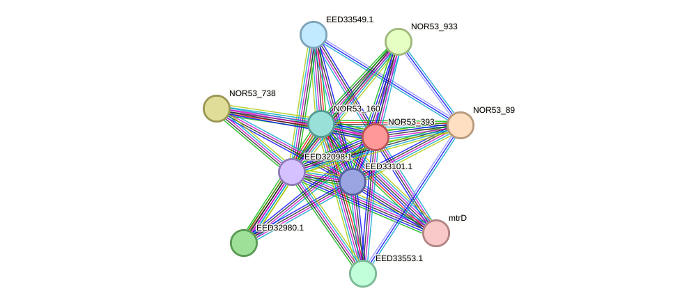 STRING protein interaction network