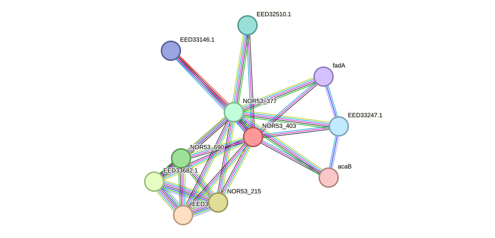 STRING protein interaction network