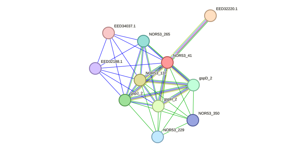 STRING protein interaction network