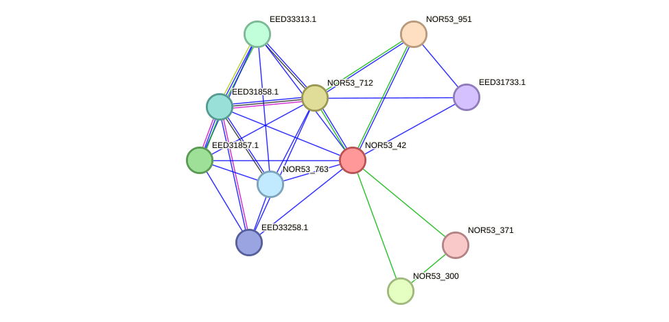 STRING protein interaction network