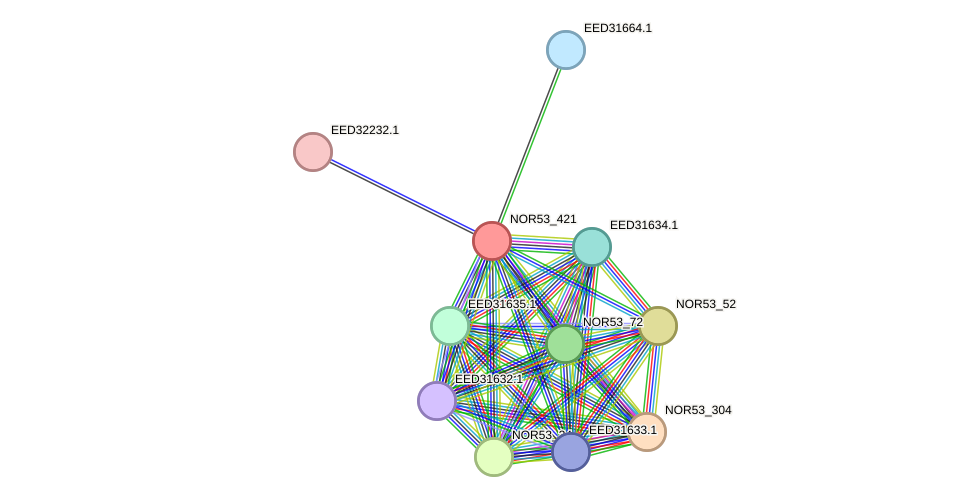 STRING protein interaction network