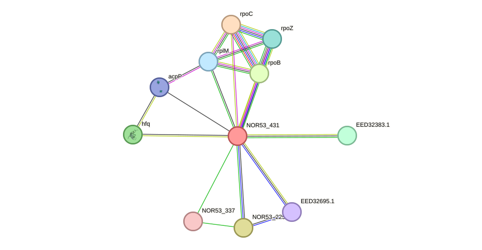 STRING protein interaction network