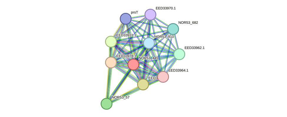 STRING protein interaction network