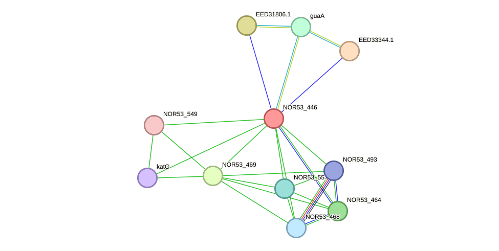 STRING protein interaction network