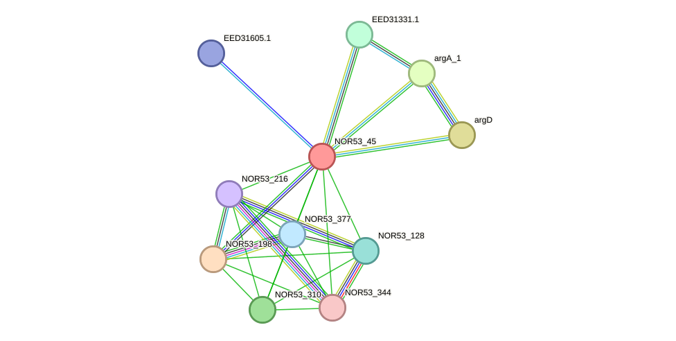 STRING protein interaction network