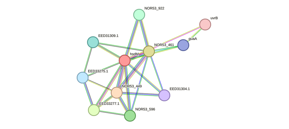 STRING protein interaction network