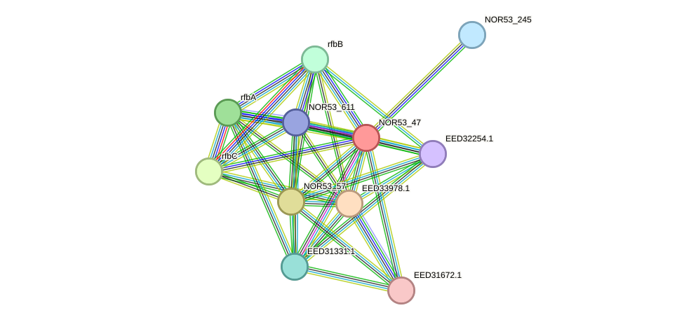 STRING protein interaction network