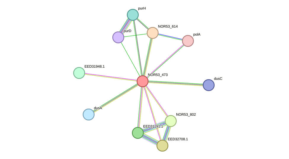 STRING protein interaction network