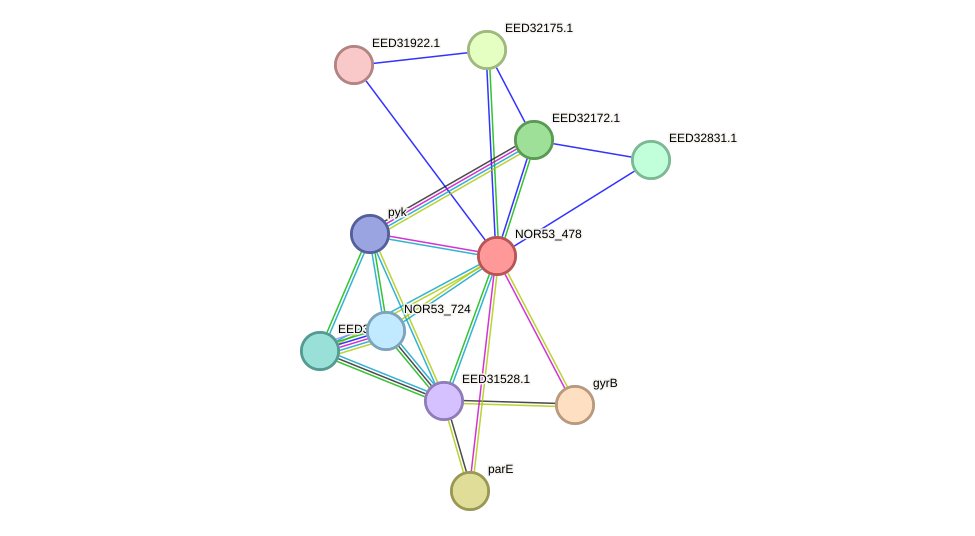 STRING protein interaction network