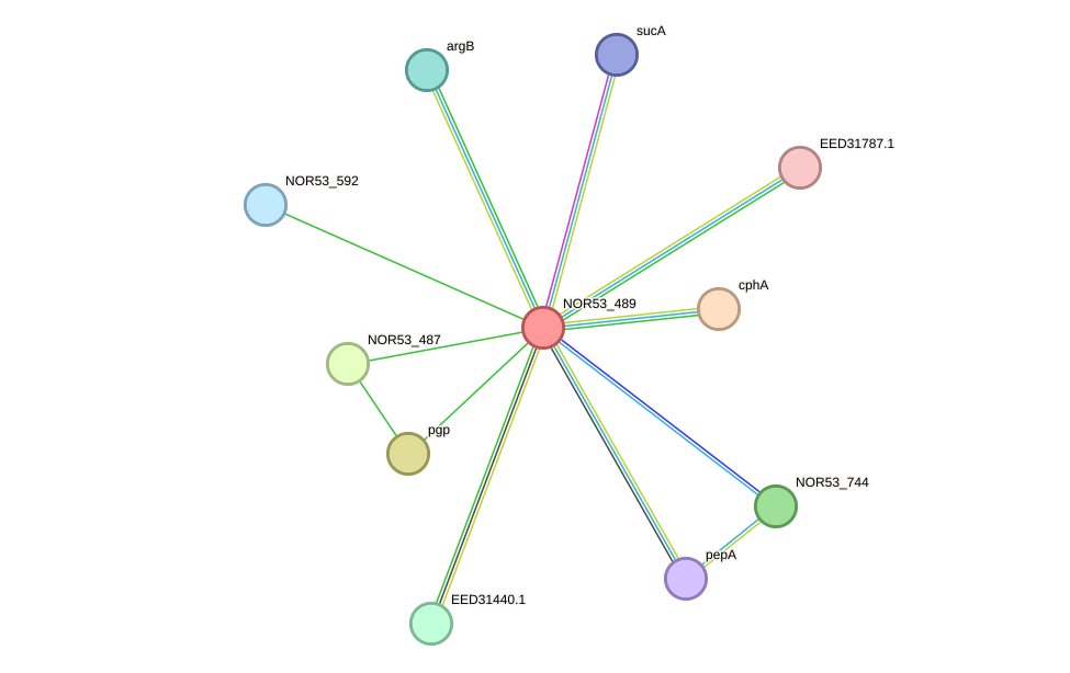 STRING protein interaction network