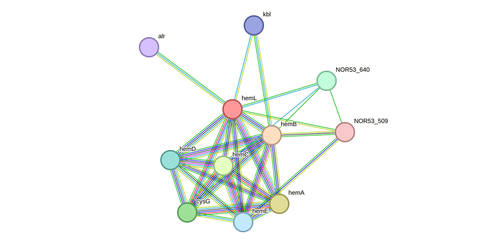 STRING protein interaction network