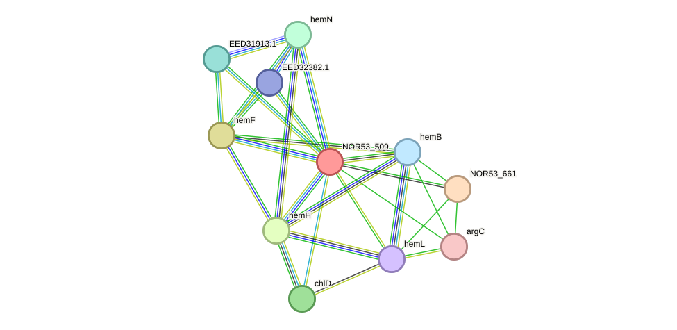 STRING protein interaction network