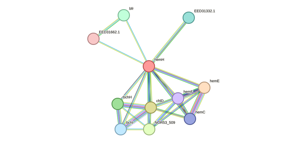 STRING protein interaction network