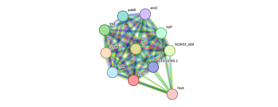STRING protein interaction network