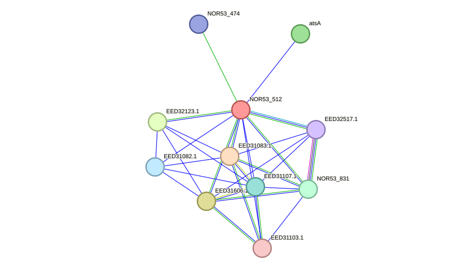STRING protein interaction network