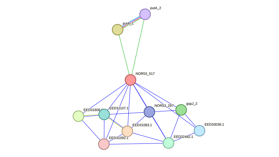 STRING protein interaction network