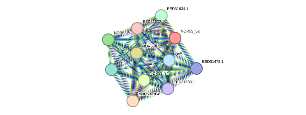 STRING protein interaction network