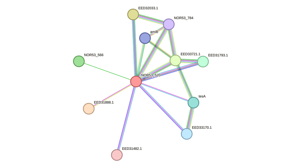 STRING protein interaction network