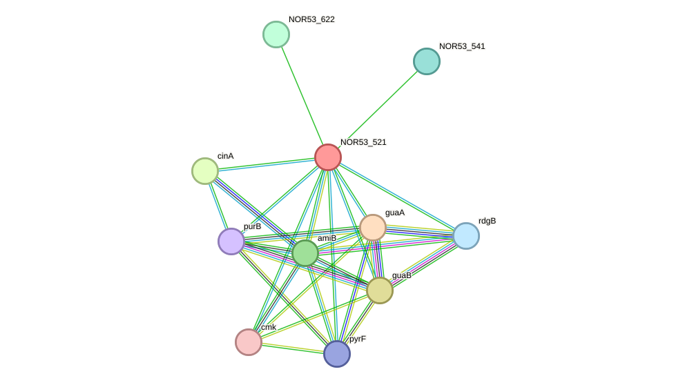 STRING protein interaction network