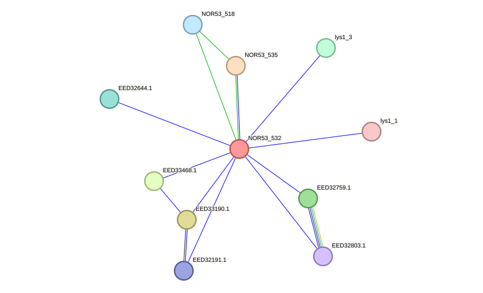 STRING protein interaction network